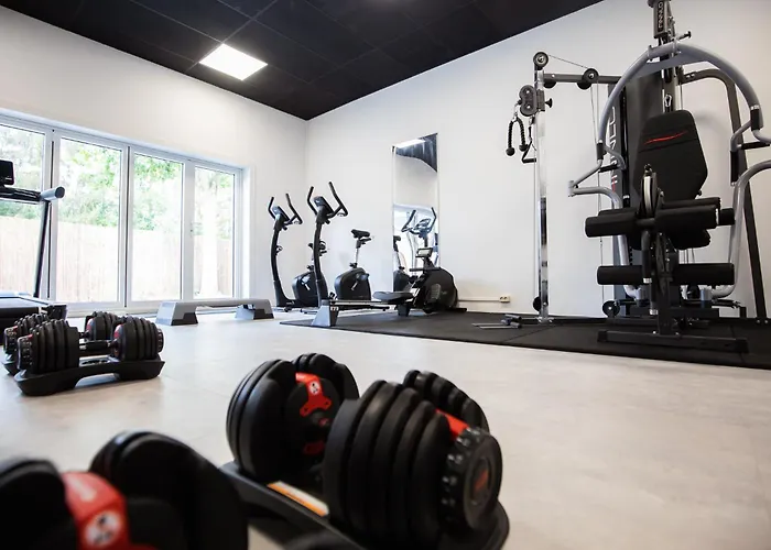 De Beyaerd * 훌쇼스트