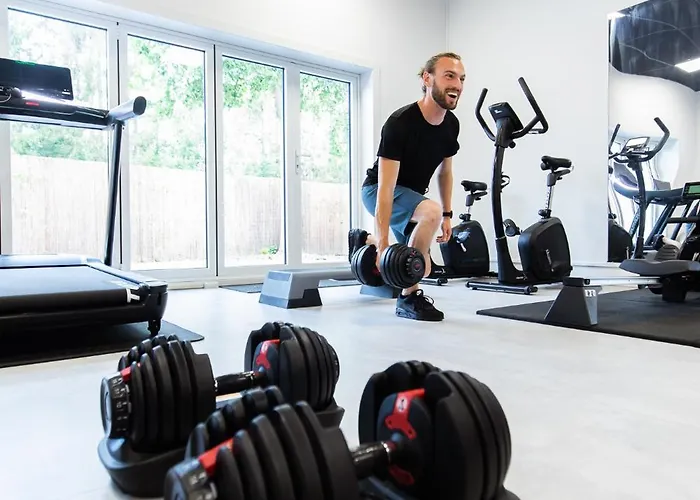 De Beyaerd * 许尔斯霍斯特